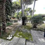 Near In 54737