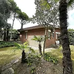 Appartement Near In 54737